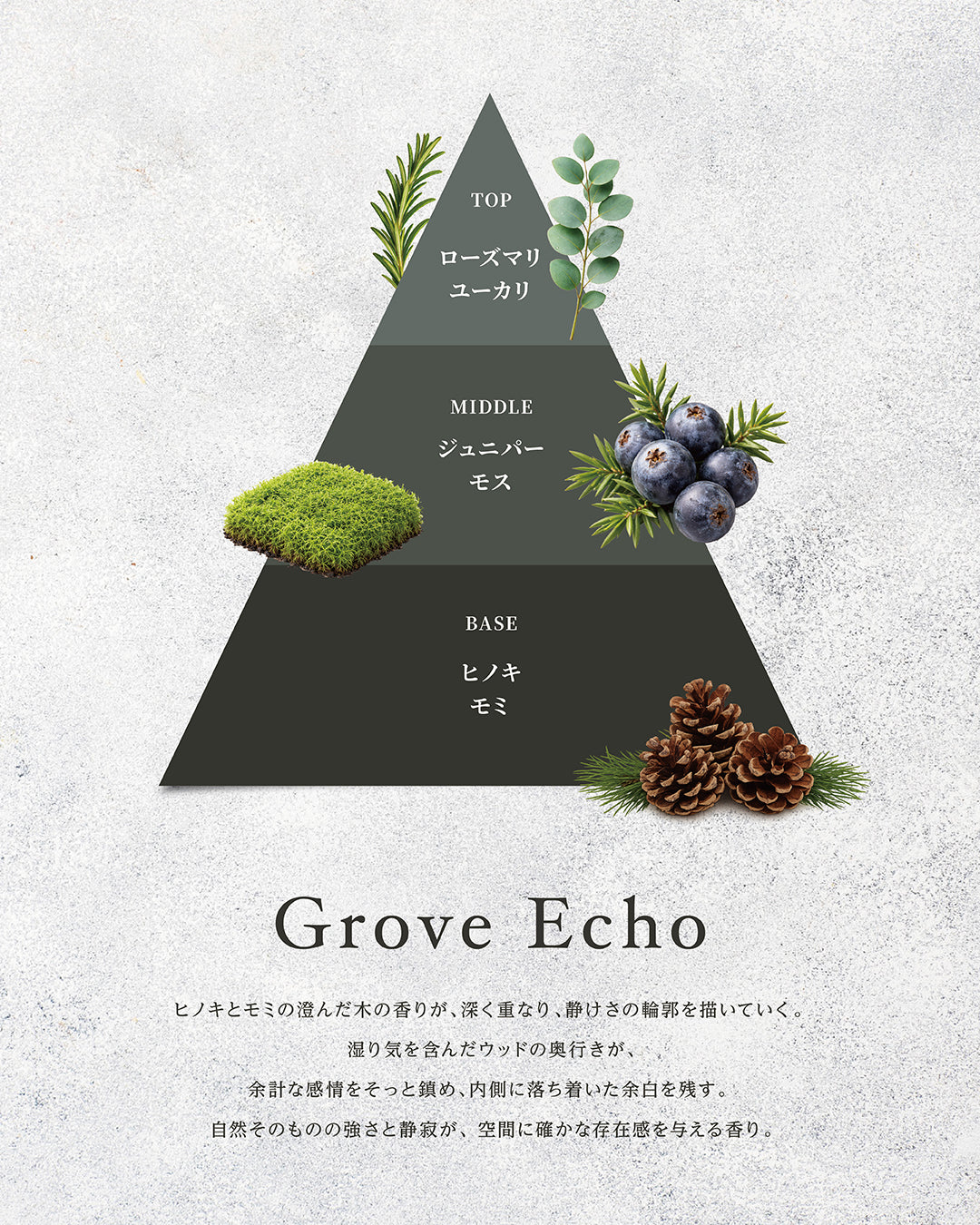 Grove Echo – ART&FRAGRANCE