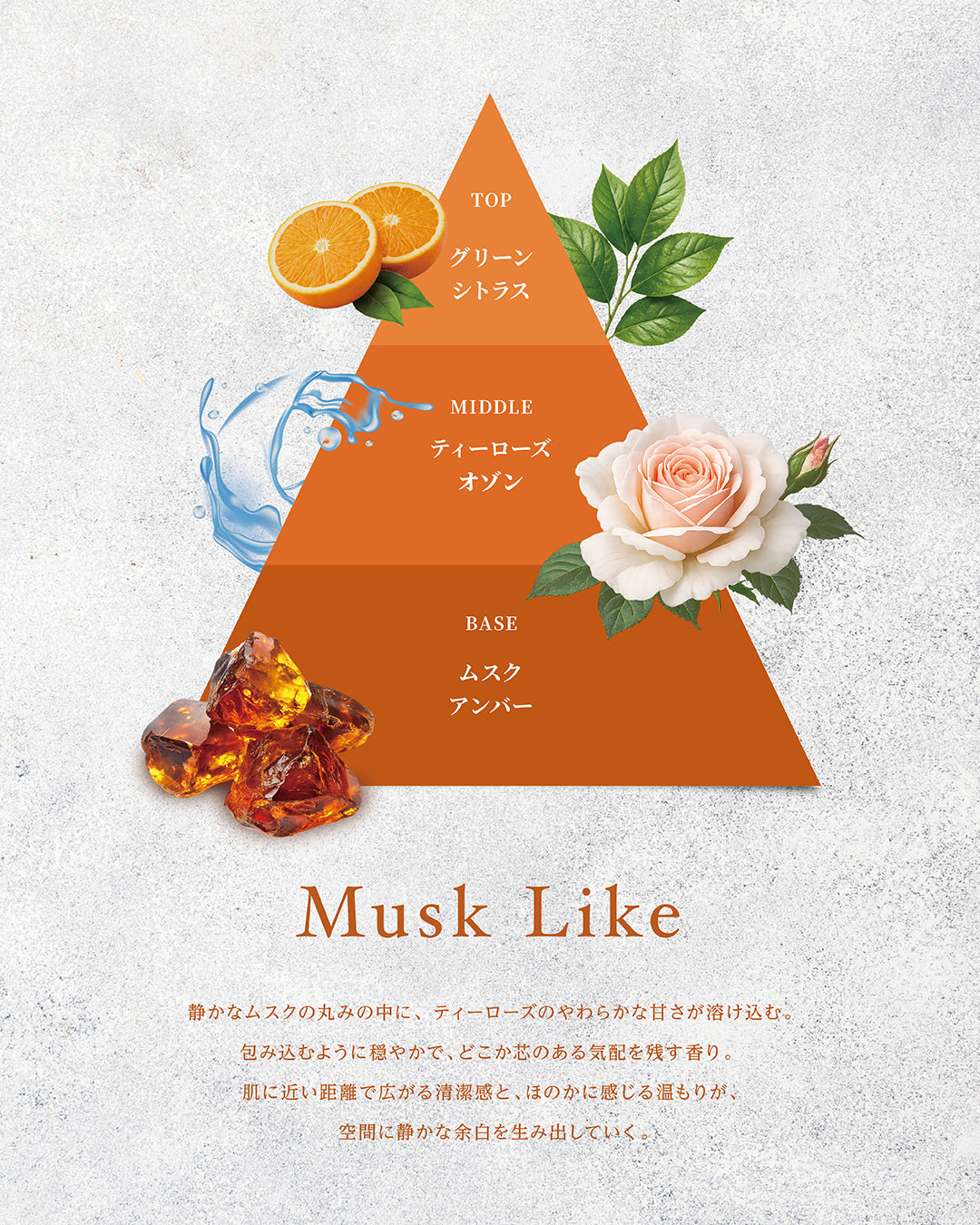 Musk Like – ART&FRAGRANCE